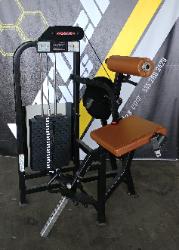 life fitness pro1 back extension